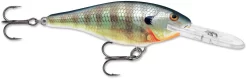 Rapala Shad Rap 3 1/8 Inch Deep Diving Crankbait SR08 -Fishing Equipment SR BG 2072b5da 4ba7 49d1 91cb a2f795506bfc
