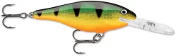 Rapala Shad Rap 3 1/8 Inch Deep Diving Crankbait SR08 -Fishing Equipment SR P 8ae99330 edd9 4922 a69e 2c65c6aaaff9