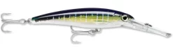 Rapala X-Rap Magnum 40 Big Game Slash Bait 34 Rapala X-Rap Magnum 40 Big Game Slash Bait -Fishing Equipment Sailfish UV 49f7a10f d6dd 4b31 86c5 efe898da306a