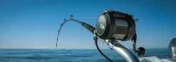 Daiwa Tanacom 800 Power Assist Electric Dendoh Reel -Fishing Equipment TANACOM 800 BANNER1