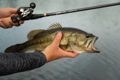 Temple Fork Outfitters Tactical Bass Spinning Rods 10 Temple Fork Outfitters Tactical Bass Spinning Rods -Fishing Equipment Tactical Bass Bottom Banner Lifestlye 1