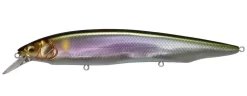 Megabass Kanata Jerkbait -Fishing Equipment Wagin Setsuki Ayu 26733aab 41ec 429e b177 e056fe00ddce