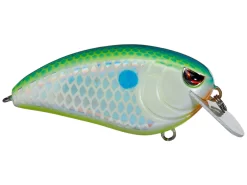 SPRO John Crews Fat John 60 Shallow Crankbait -Fishing Equipment citrus shad