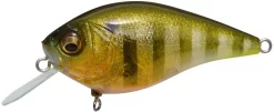 Megabass Knuckle LD Silent Crankbait 2 1/3 Inches 24 Megabass Knuckle LD Silent Crankbait 2 1/3 Inches -Fishing Equipment color chart 014 the knuckle ld glx skeleton gill