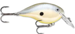 Rapala DT Series Crankbait DT4 -Fishing Equipment disco shad 48ff9892 84e7 4f3b 8c8c 61b5dda2adf1