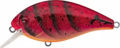 Evergreen International SH-3 Shallow Squarebill Crankbait -Fishing Equipment evergreen SH 3 223 speed craw