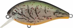 Evergreen International SH-3 Shallow Squarebill Crankbait -Fishing Equipment evergreen SH 3 363 albino craw