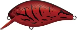 Evergreen International SH-3 Shallow Squarebill Crankbait -Fishing Equipment fire 2Bcraw