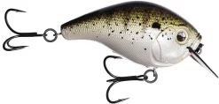 13 Fishing Scamp 1.5/2.5 Squarebill Crankbait -Fishing Equipment flipLouisiana Frog Cakes
