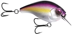 13 Fishing Scamp 1.5/2.5 Squarebill Crankbait -Fishing Equipment flipPurple Nurple