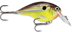 Rapala DT Series Crankbait DT4 -Fishing Equipment hot mustard 2fba7517 cf40 40e0 b101 cdae8a8ef9bc