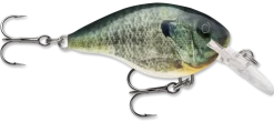 Rapala DT Series Crankbait DT4 -Fishing Equipment live bluegill 081b953a 2495 4e91 8399 d3acc222bfc4