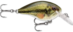 Rapala DT Series Crankbait DT4 -Fishing Equipment live largemouth bass 2f259570 db69 465c b5d8 9a0aa813ca36