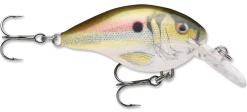 Rapala DT Series Crankbait DT4 -Fishing Equipment live river shad 99811d93 def6 46c2 847f 2cc70509e248