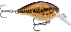 Rapala DT Series Crankbait DT4 -Fishing Equipment live smallmouth bass e408e51d bf23 4c82 83cd 7f8d7407e433